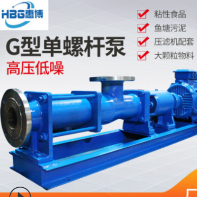厂家直销G10-1G15-1小流量螺杆泵加药泵220v泥浆泵 污泥泵 胶套