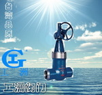 电站闸阀Z61Y、Z961Y 工洲电站阀门-台湾品质-厂价直销