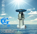 国标电站闸阀Z60Y 工洲电站阀门-台湾品质-厂价直销