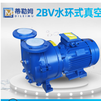 2BV水环式真空泵 工业用2BV5121型不锈钢叶轮高真空水循环真空泵