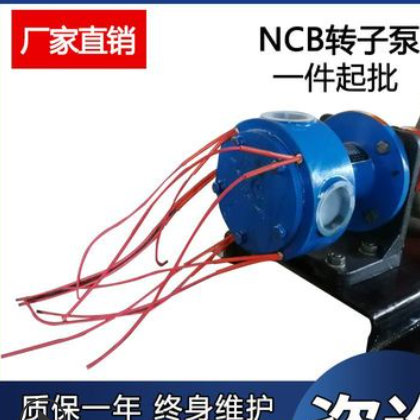 NCB保温转子泵 树脂泵NCB3-0.3高粘度内啮合齿轮泵