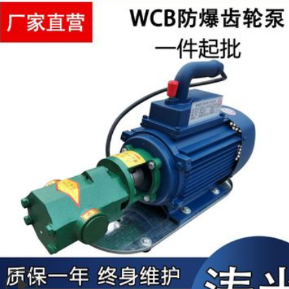 厂家直营WCB手提式齿轮泵 220V电动抽油泵 WCB30铜轮齿轮油泵