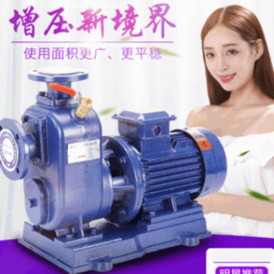 BZ直联式自吸泵 联体卧式离心泵农用灌溉清水泵高扬程大流量