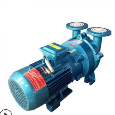 厂家现货2BVA5111水环式真空泵 液环4kw工业用抽气泵 气体传输泵