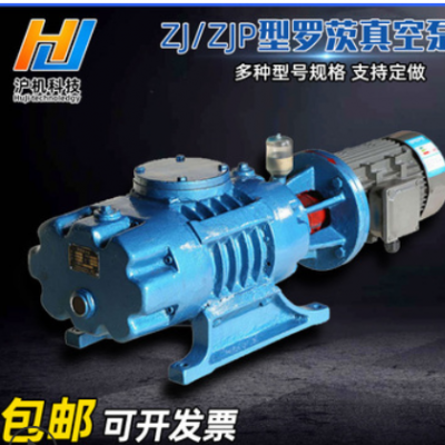 厂家罗茨真空泵 定制铸铁密封气体传输泵 卧式ZJ/ZJP型罗茨真空泵