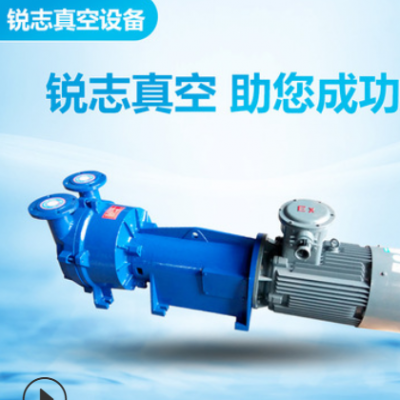 2BV水环式真空泵 高真空小型抽气水循环压缩机 工业用真空泵定制