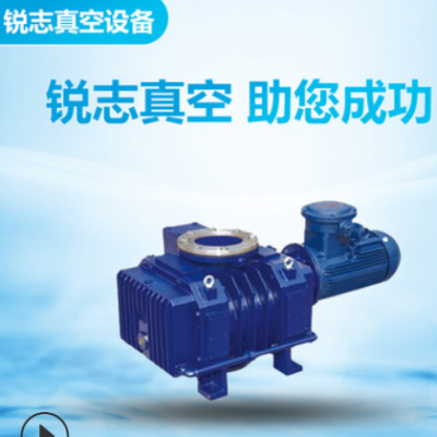 ZJB罗茨真空泵直销 小型高真空罗茨增压泵 防腐蚀低噪音真空泵
