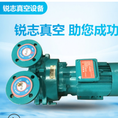 2BV水环真空泵 铸铁气体传输泵 2bv5110边立式清水泵 高真空度