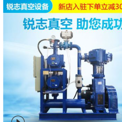 山东厂家供应真空泵 气体传输泵 ZJB罗茨真空泵 高真空度规格齐全