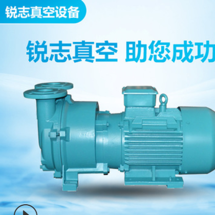 2BE水环真空泵工业高真空度水循环压缩机边立式电动清水2BV真空泵