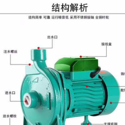 220V家用小型离心自吸泵高扬程空气能管道循环增压泵锅炉冷却泵