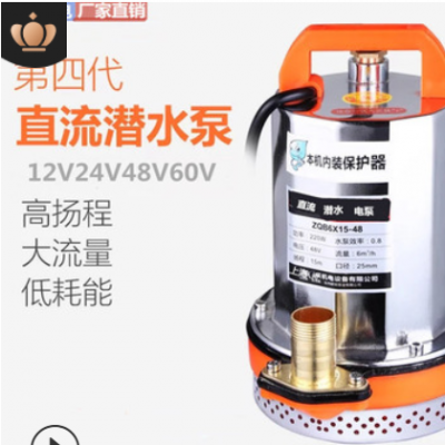 12V48V家用微型便捷式电动车直流潜水泵小型船用不锈钢电瓶抽水机