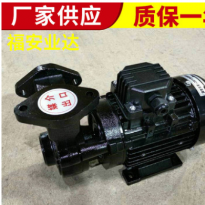 厂家供应TS-63 TS-71高温热油泵导热泵 大流量电动齿轮油泵