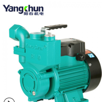 阳春水泵 高压自吸泵220V大流量增压抽水泵家用管道离心增压泵