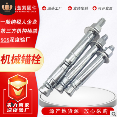 机械锚栓 后扩底螺栓国标镀锌膨胀螺栓单双管自切式机械锚栓现货