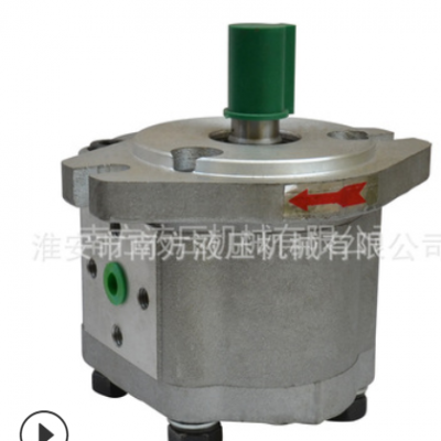 CBN-E300化工耐高温齿轮泵 精密小流量液压油定量齿轮泵 高压油泵