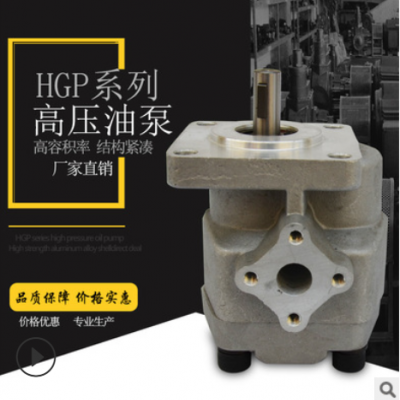 HGP2A电动液压齿轮泵 小型hgp齿轮泵油泵加工