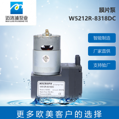 微型气泵 真空泵 压力泵 增压泵 直流气泵 额定电压12v