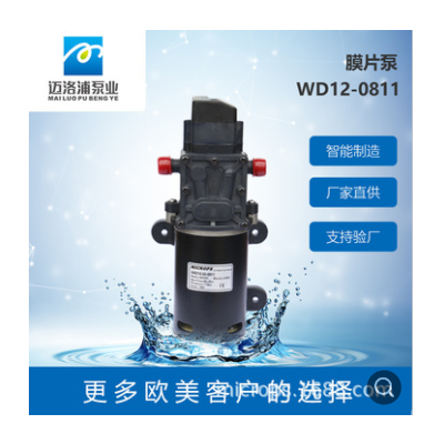 厂家批发 额定电压12v 直流水泵 自吸泵 增压泵 压力泵 隔膜泵