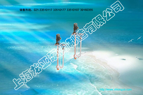 长轴液下泵