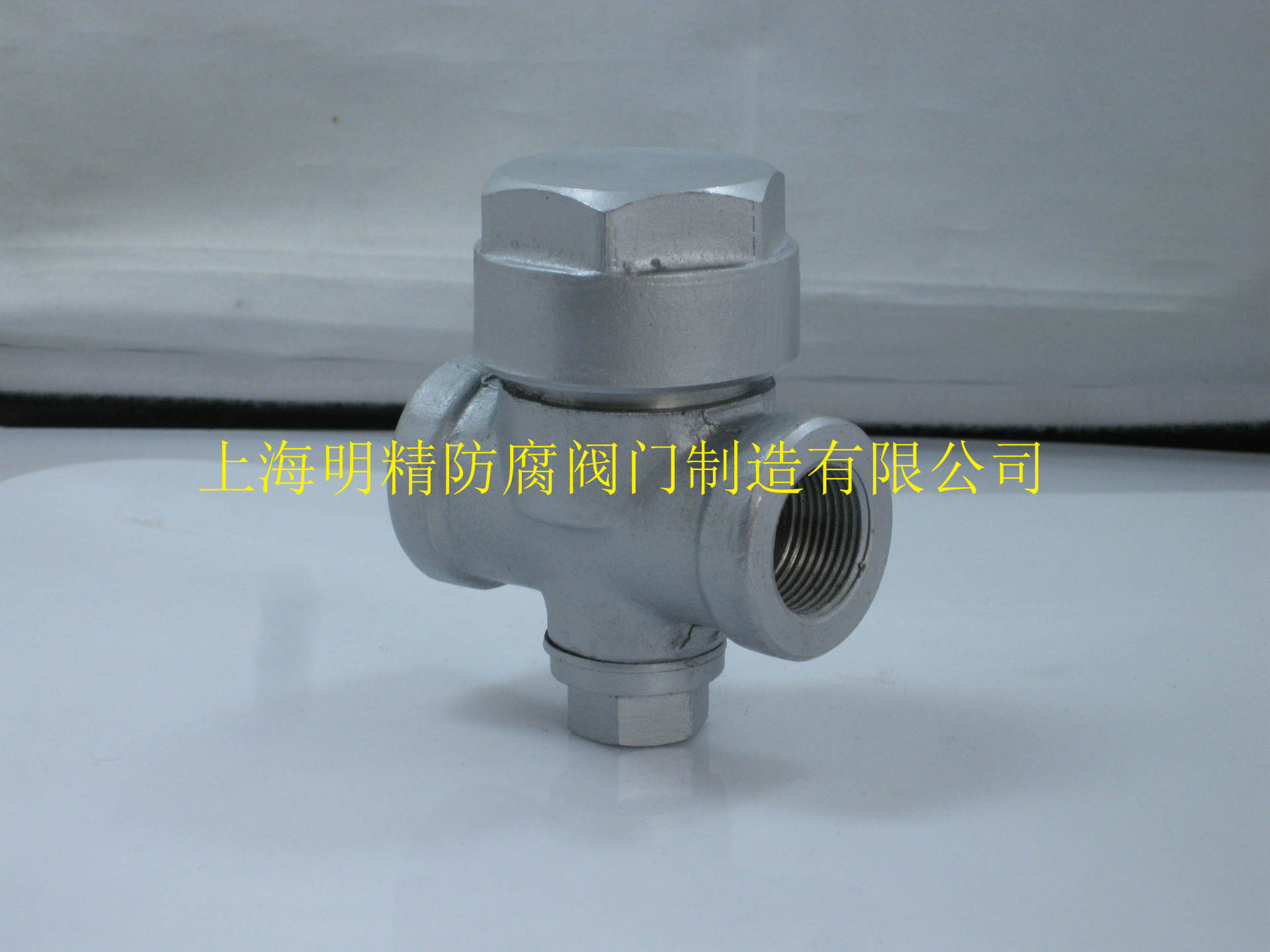 CS19H疏水阀 (5)