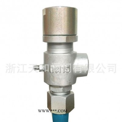 直销A21H-16C弹簧微启式螺纹安全阀型号 浙江天和永一阀