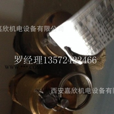 24083966英格索兰安全阀原厂副厂件优惠价