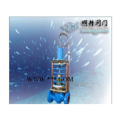 ZZWP自力式温度调节阀