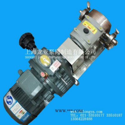 生产RP25-8变频补水转子泵组 RP120蜂浆泵