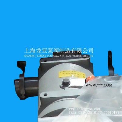 供应RP50-45山东凸轮转子泵 2.2KW高温转子泵 浆料泵