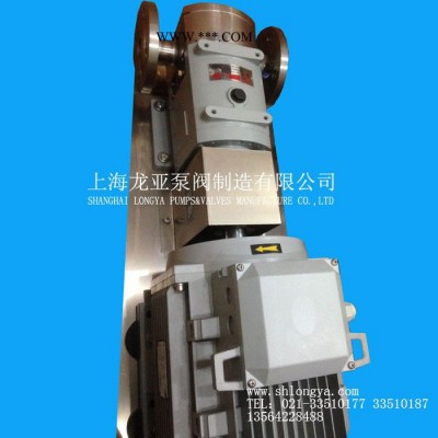 供应LQ3A-100高粘度化工泵 RP8广州转子泵 湿转子泵