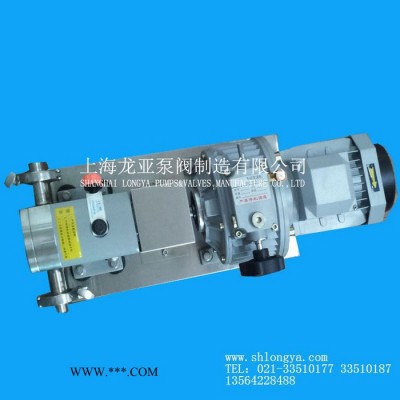 销售RP25-12大流量转子泵 0.55KW两级能耗转子泵机组 涂料泵