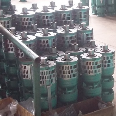 不锈钢潜水泵家用抽水泵污水泵抽粪排污泵不锈钢污水泵价格