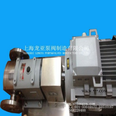 销售RP50-70变频转子泵 无调速型可移动式转子泵