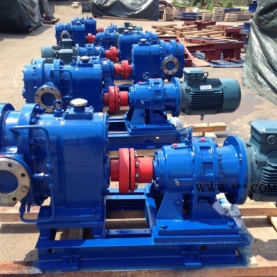 丹东  HLBW-25/0.6型沥青混合料泵  价格电询 稠油泵
