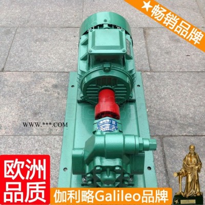 上海yb1油泵 上海高温重油泵 上海齿轮转子泵 伽捌