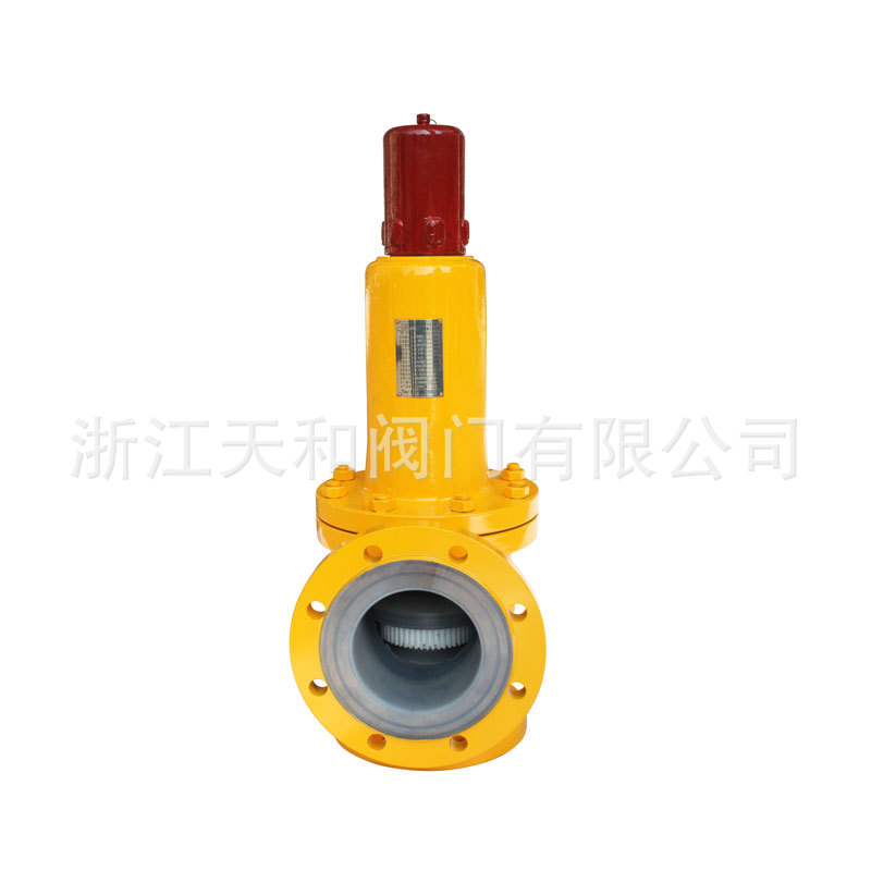 A42F46-25C-DN100 2