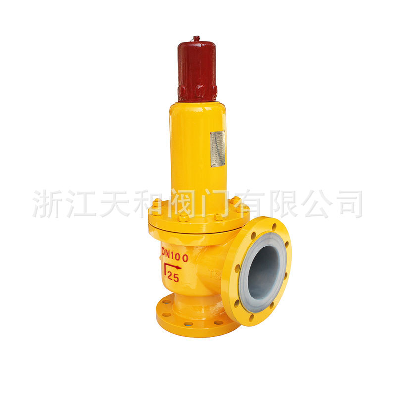 A42F46-25C-DN100 1
