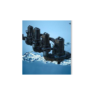 南京蓝深制泵集团WQ40-12-3污水泵配套自耦、导杆、吊链