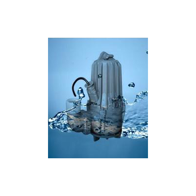 蓝深WQ10-10-1潜污泵配套自耦、导杆、吊链