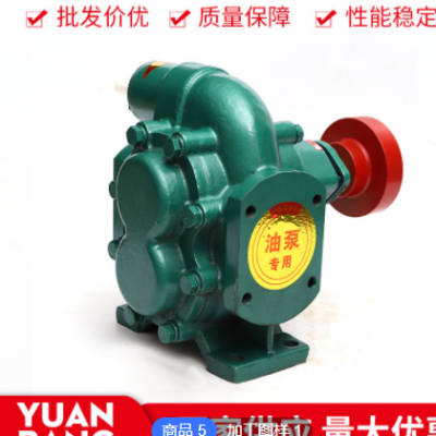 KCB-200-960泵头&整机齿轮油泵KCB三相耐高温抽油泵齿轮泵高压