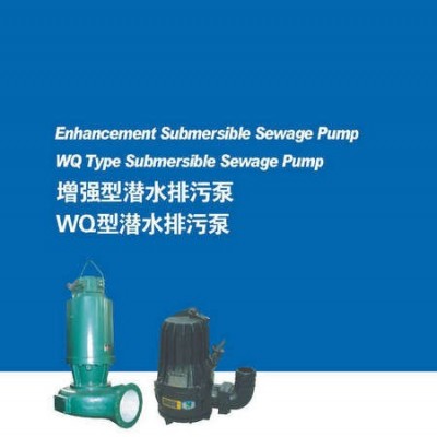 蓝深排污泵WQ250-17-22，蓝深潜污泵耦合安装