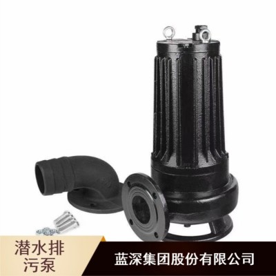 南京蓝深制泵集团潜水污AV55-2型配套导杆安装