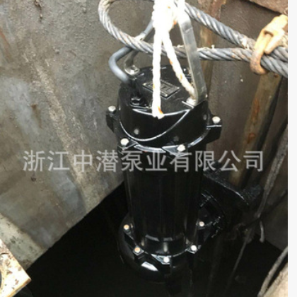 污水提升泵 潜水排污泵耦合装置DN40-DN600图3