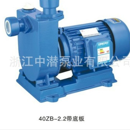 WZB型号 家用自吸泵 空调泵 花园泵2图2