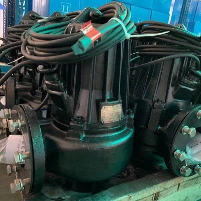 蓝深集团股份有限公司WQ20-25-4潜水泵轨轨道式安装