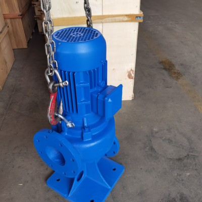 蓝深集团股份有限公司WL60-13-4立式污水泵