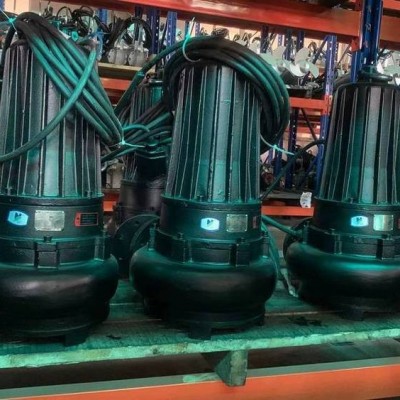 南京蓝深制泵集团WQ100-5-3，蓝深污泥提升泵