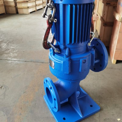 蓝深集团立式排污泵WL100-13-7.5