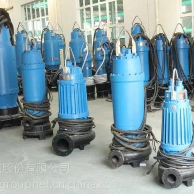 蓝深集团股份有限公司WQ800-7-30污泥提升泵 蓝深水泵